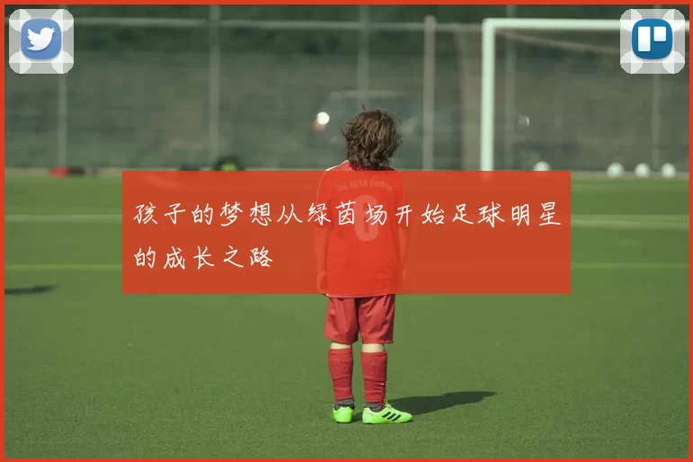 孩子的梦想从绿茵场开始足球明星的成长之路