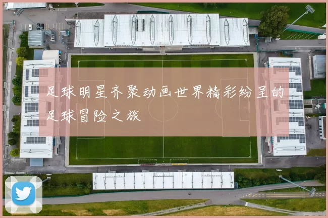 足球明星齐聚动画世界精彩纷呈的足球冒险之旅