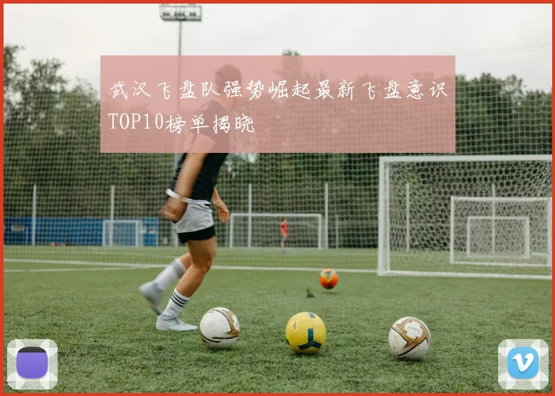 武汉飞盘队强势崛起最新飞盘意识TOP10榜单揭晓