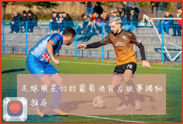 足球明星们的葡萄酒背后故事揭秘与推荐