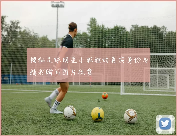 揭秘足球明星小狐狸的真实身份与精彩瞬间图片欣赏