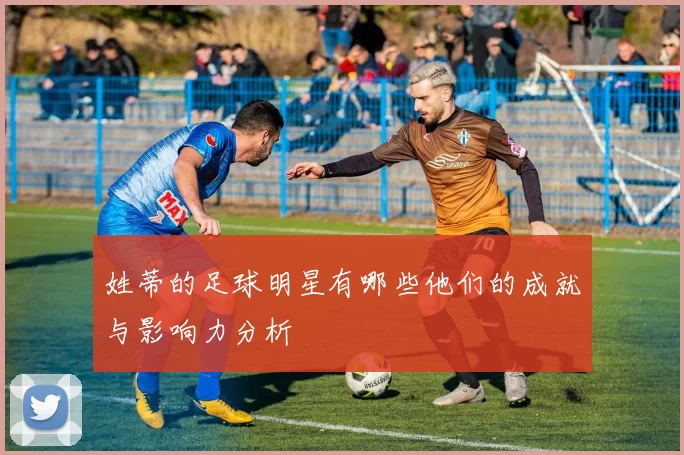 姓蒂的足球明星有哪些他们的成就与影响力分析