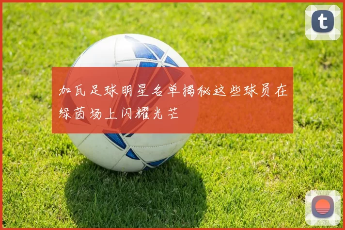 加瓦足球明星名单揭秘这些球员在绿茵场上闪耀光芒