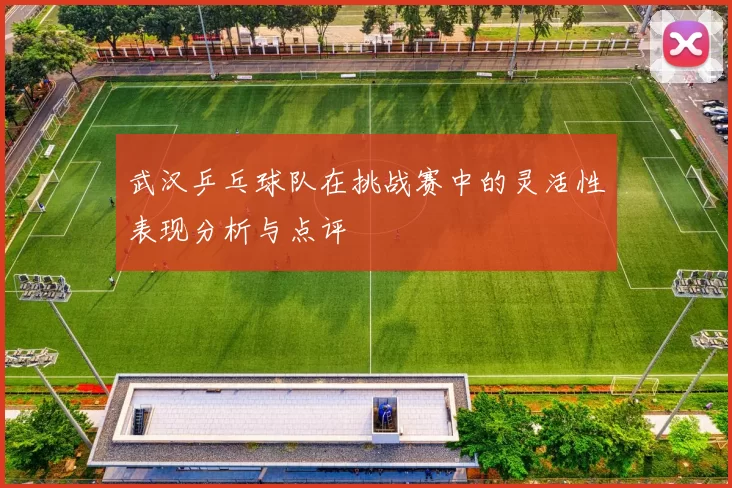 武汉乒乓球队在挑战赛中的灵活性表现分析与点评