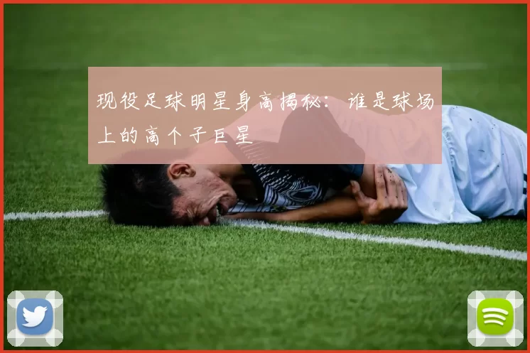 现役足球明星身高揭秘：谁是球场上的高个子巨星
