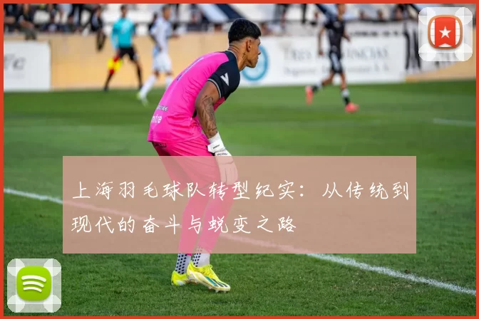 上海羽毛球队转型纪实：从传统到现代的奋斗与蜕变之路