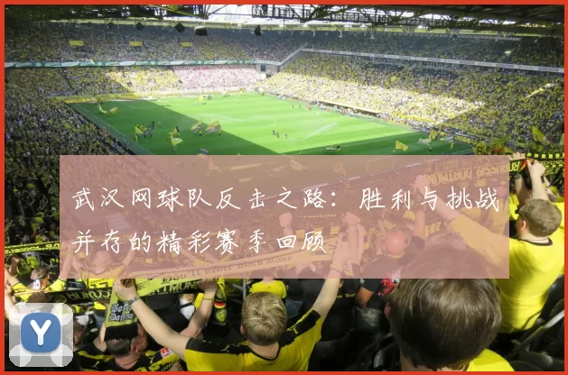 武汉网球队反击之路：胜利与挑战并存的精彩赛季回顾