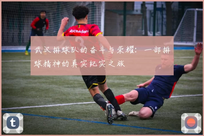 武汉排球队的奋斗与荣耀：一部排球精神的真实纪实之旅