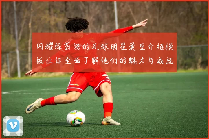 闪耀绿茵场的足球明星爱豆介绍模板让你全面了解他们的魅力与成就