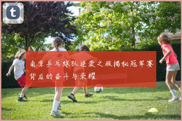 南京乒乓球队逆袭之旅揭秘冠军赛背后的奋斗与荣耀