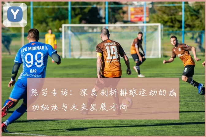 陈芳专访：深度剖析排球运动的成功秘诀与未来发展方向