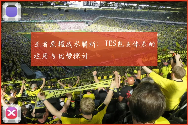 王者荣耀战术解析：TES包夹体系的运用与优势探讨