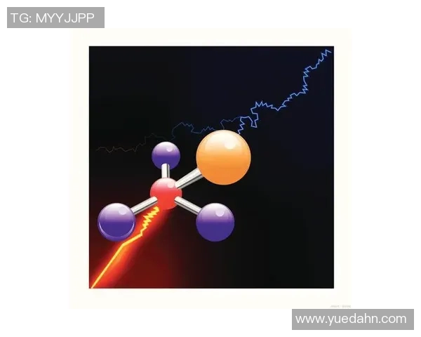 国际米兰崛起之路：重建荣耀与未来前景的深度分析